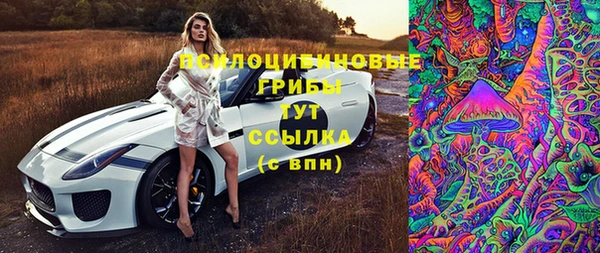 ешки Дмитров