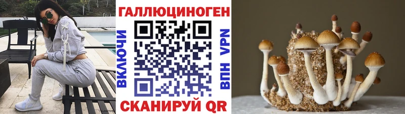 закладка  Соль-Илецк  Галлюциногенные грибы прущие грибы 
