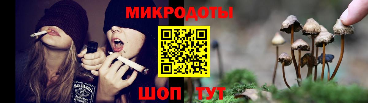 Соль-Илецк  закладка  Вход с VPN  Галлюциногенные грибы Psilocybine cubensis 